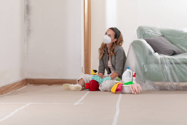 Reliable Black Mold Removal contractor in Boalsburg, PA by WQB Mold Removal